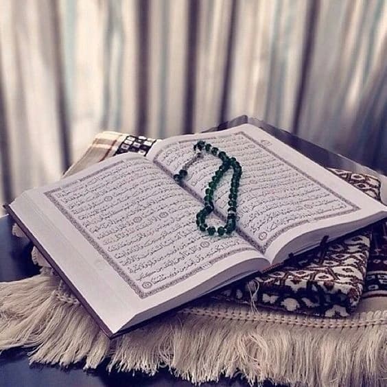 أم ياسين